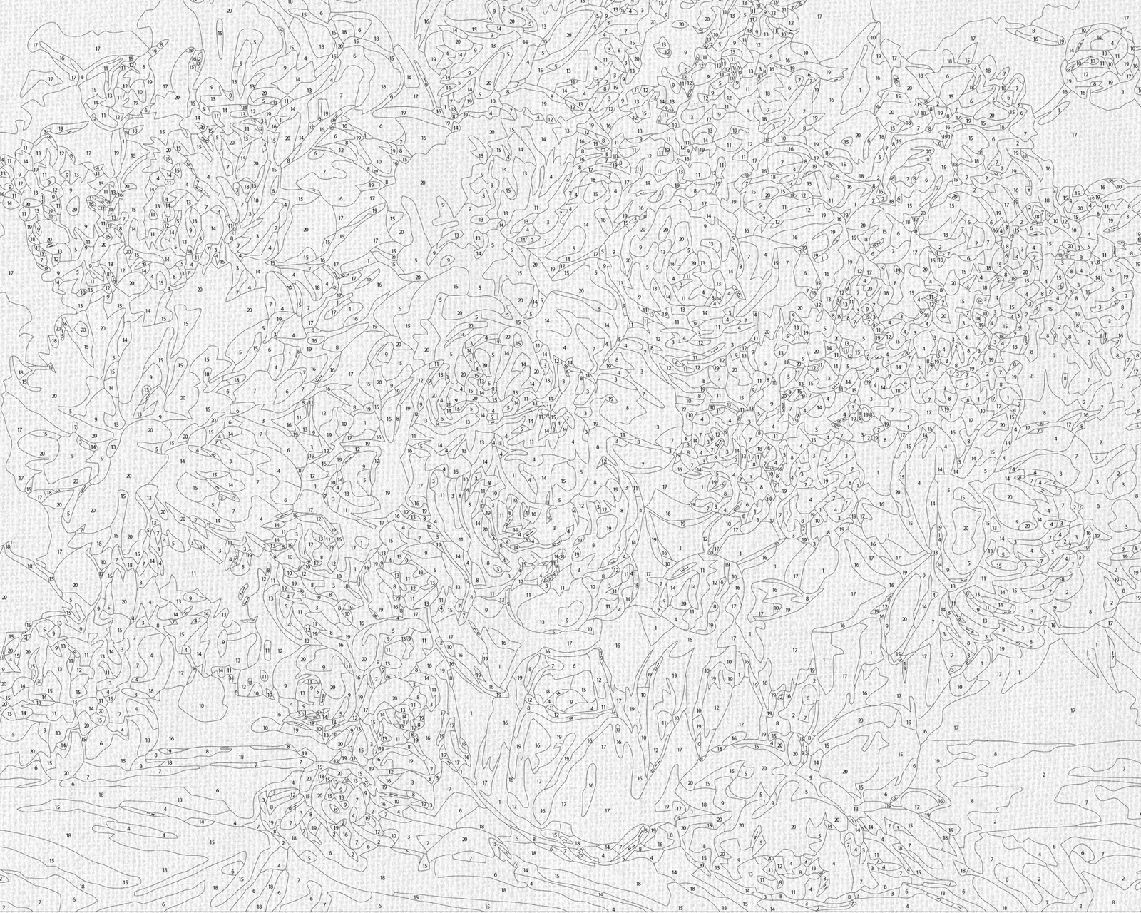 Malování podle čísel na rámu 40*50 cm Květy - Jemná kytice LW 1073