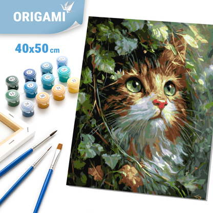 Malování podle čísel na rámu 40*50 cm - Koťátko se smaragdovýma očima - Zvířata - LW 2002-01