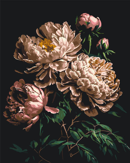 Malování podle čísel na rámu 40*50 cm Květy - Pivoňky na tmavém pozadí LW 2003