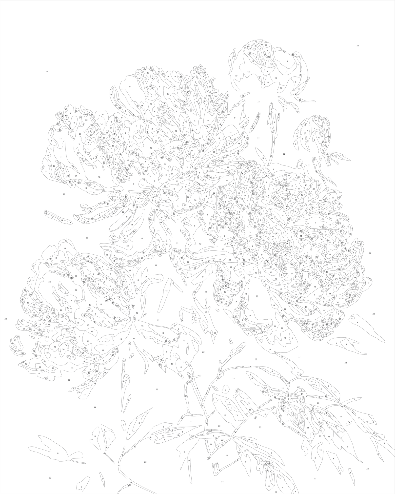Malování podle čísel na rámu 40*50 cm Květy - Pivoňky na tmavém pozadí LW 2003