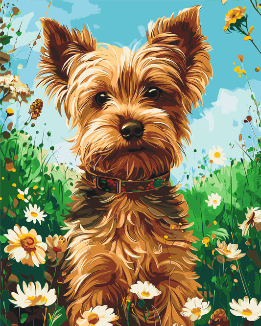 Malování podle čísel na rámu 40×50 cm - Jorkšírský teriér - Zvířata - LW 30470