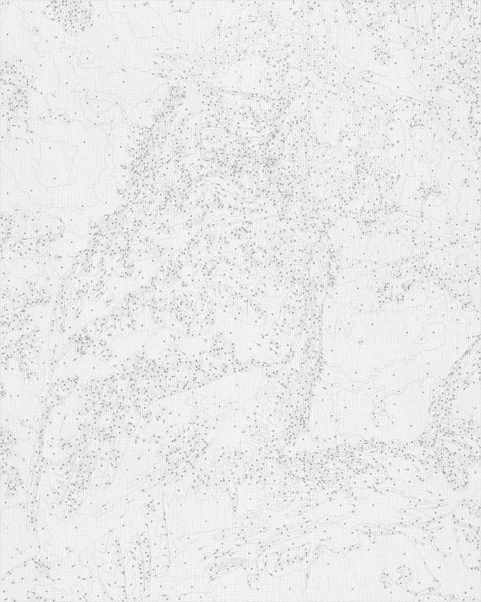 Malování podle čísel na rámu 40*50 cm – Chytrá sova LW 30830