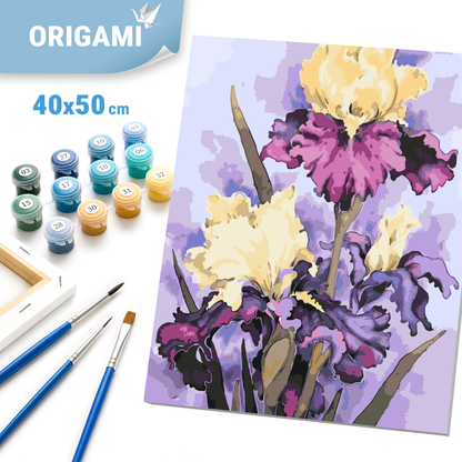 Malování podle čísel na rámu 40*50 cm - Luxusní kosatce - Květiny - LW 32040