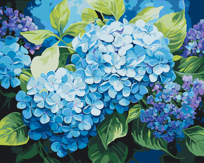 Malování podle čísel na rámu 40*50 cm - Květy. Modrá hortenzie LW 3489