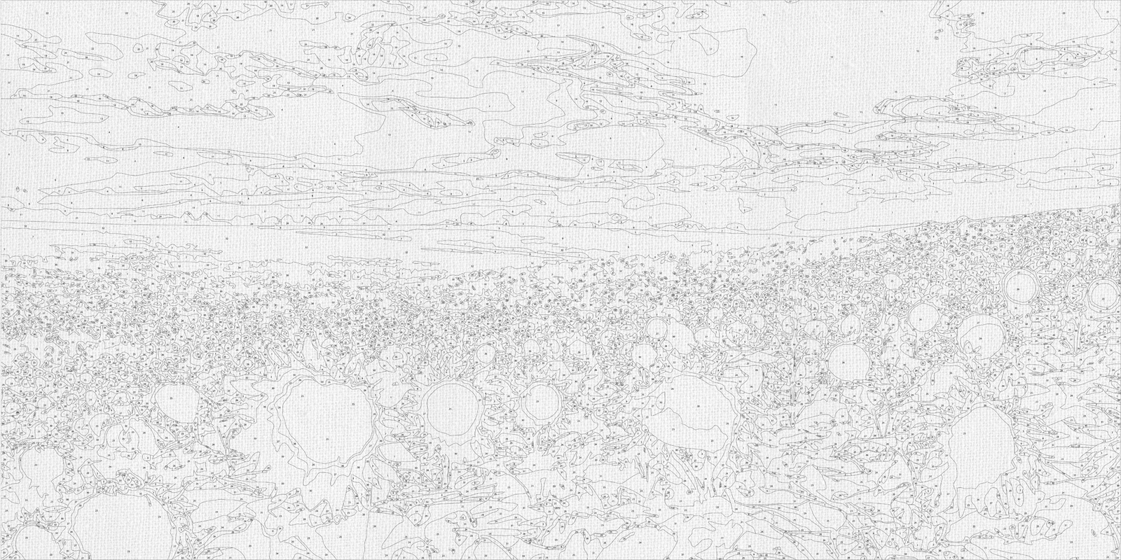 Malování podle čísel na rámu 40*80 cm krajinka Slunečnicové pole LW 5099
