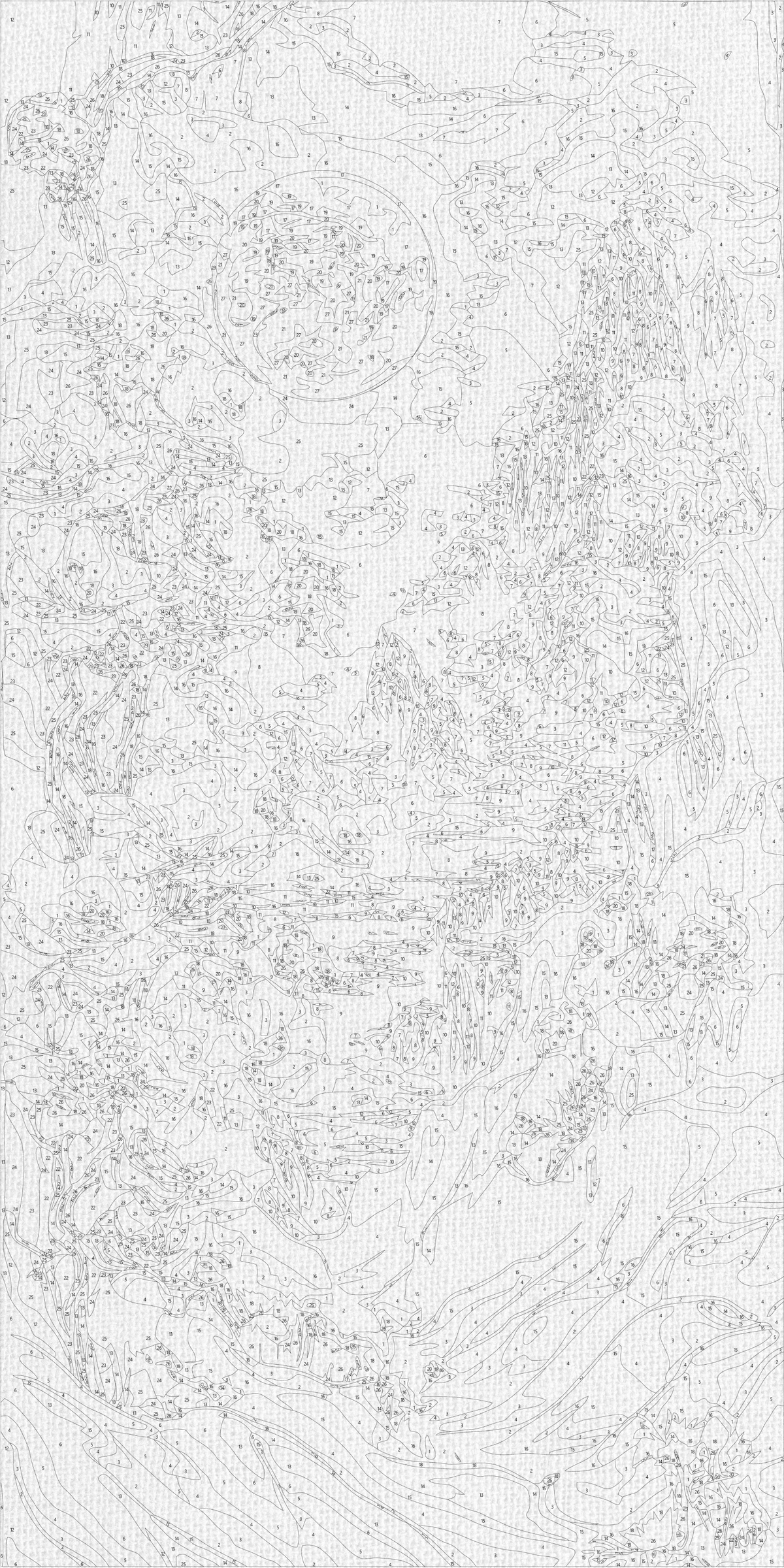 Malování podle čísel na rámu 40×80 cm - Abstrakce: horské květiny - Květiny/Krajinka - LW 5104
