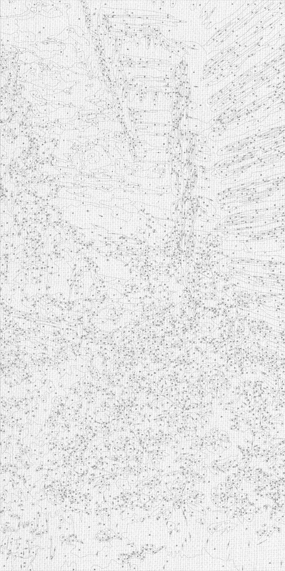Malování podle čísel na rámu 40×80 cm - Květinový letní večer - Krajinka/Květiny - LW 5114